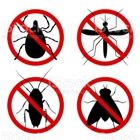Pest Patrol