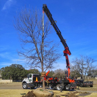 Superior Services Tree Care - Fredericksburg, TX