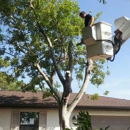 Lamb Tree Care - Arborists