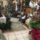 Botanica Flowers And Gifts