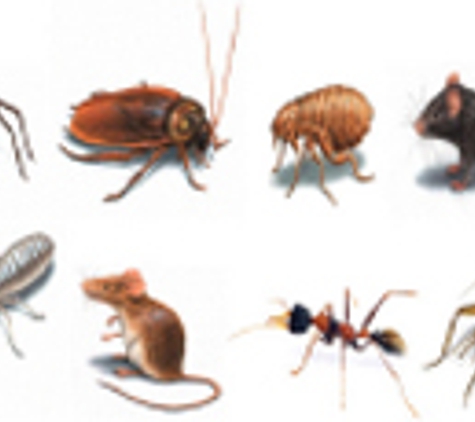 McDonald Pest Control - Largo, FL