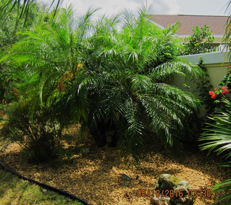 Douglas Landscape & Lawn Service - Wildwood, FL