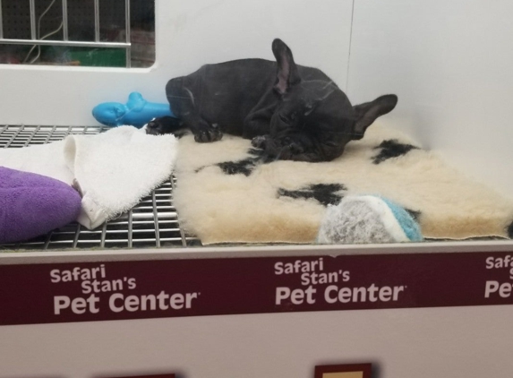 Safari Stan's Pet Center - New Haven, CT