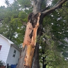 Jensen Lawn & Landscaping and Tree Service