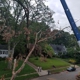 All American Tree Care