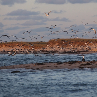 Chatham Boat Tours - Chatham, MA