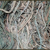 Gallery Image Number 7