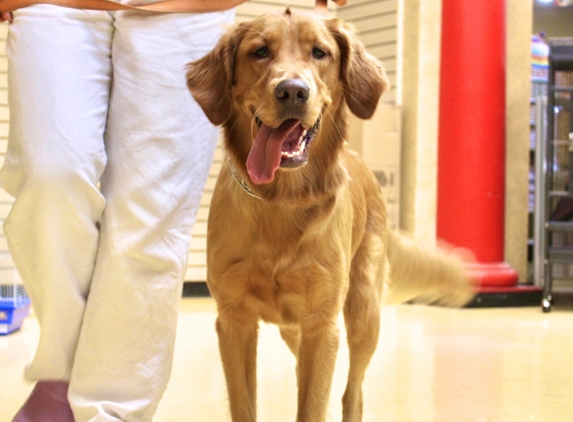 Feeders Pet Supply Obedience & Training - Greensburg, IN