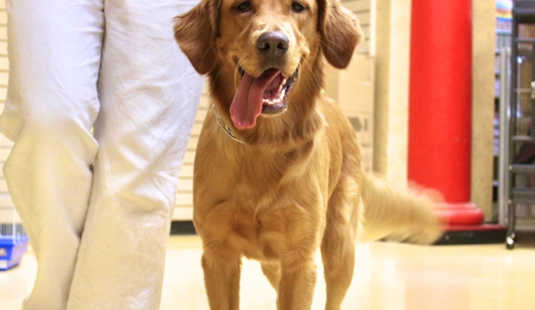 Feeders Pet Supply Obedience & Training - Walton, KY