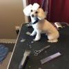 Sprinkletown Pet Spa gallery