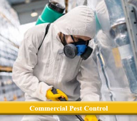 Any Pest Control - Mount Gravatt East, QLD. Commercial Pest Control