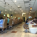 Elegant Nail & Spa - Nail Salons