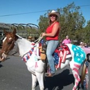 Ask The Horse Riding & Training - Horse Training