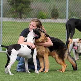 K9 Country Club - Spokane Valley, WA