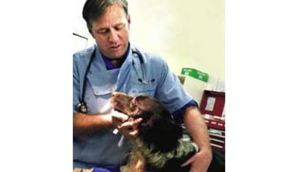 Berwick Veterinary Hospital - Berwick, VIC