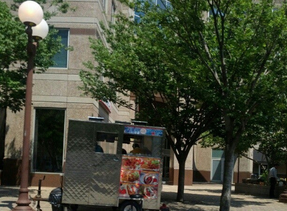 Metro Halal Food Cart - Arlington, VA