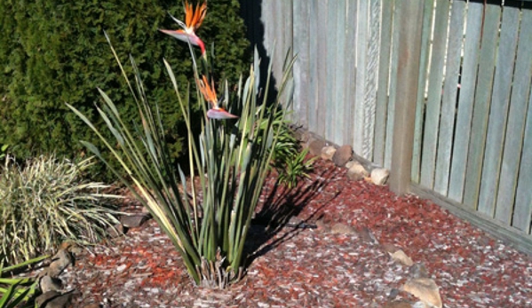 Robert's Home & Garden Maintenance - Wyreema, QLD
