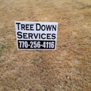 Tree Down Services - Tree Service