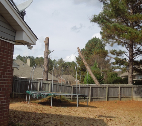 Griffin Tree Service - Brandon, MS