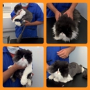 Lanz Pet Care  Mobile Grooming for Cats and Dogs - Mobile Pet Grooming