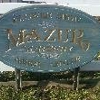 Mazur Nursery gallery