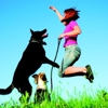 Fetch! Pet Care gallery