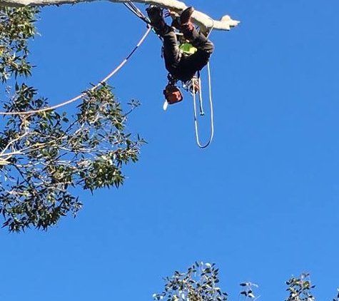 Horizon Total Tree Service - Tomakin, NSW
