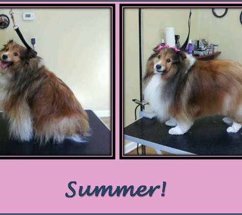 VIP Dog Salon - Fernandina Beach, FL