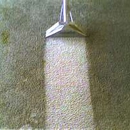 Capital Carpet Cleaning - Carpet & Rug Cleaners