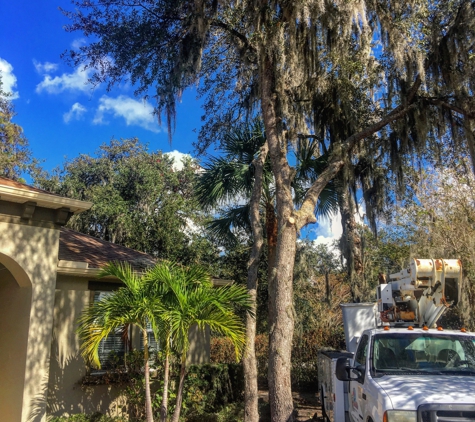 Land Solutions of Florida - Brandon, FL