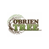 O'Brien Tree gallery