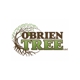 O'Brien Tree