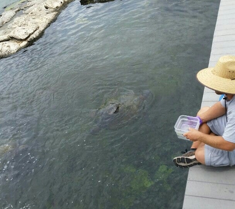 Florida Oceanographic Coastal Center - Stuart, FL