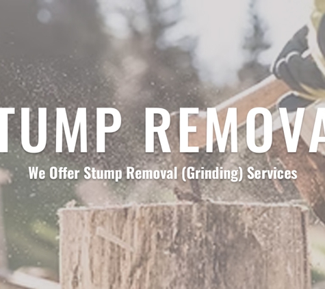 Bulldog Trees - Maroota, NSW. Stump Removal