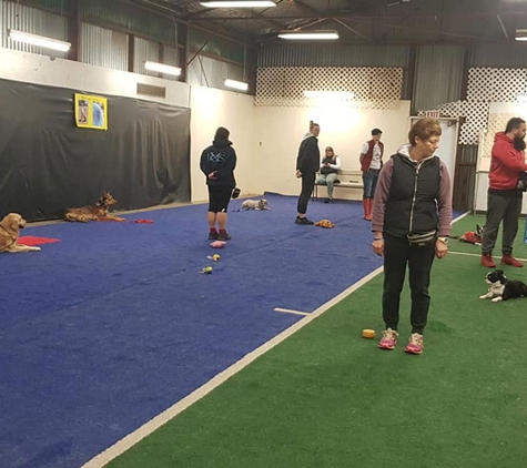 Lana's Dog Training - North Bendigo, VIC