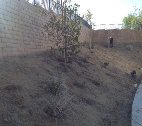 Ricardo's Landscaping & Tree Service - Rancho Cucamonga, CA