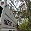 Meredith Tree Service - Tree Service