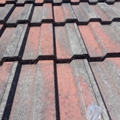 Gallery Image Number 7