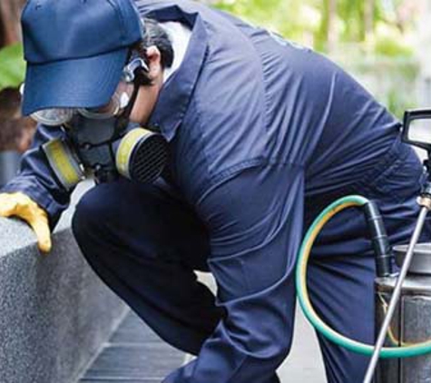 Impact Pest Control - Loftus, NSW