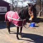 Masconette Farm - Horse Boarding - Carriage Driving