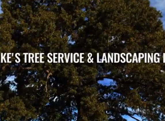 Mike's Tree Service & Landscaping - Grandview, MO