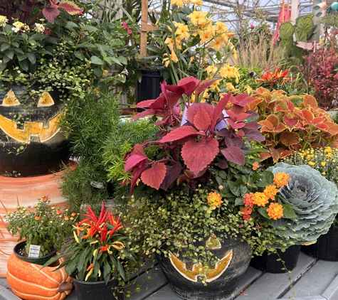 Grant Line Nursery & Garden Center - New Albany, IN