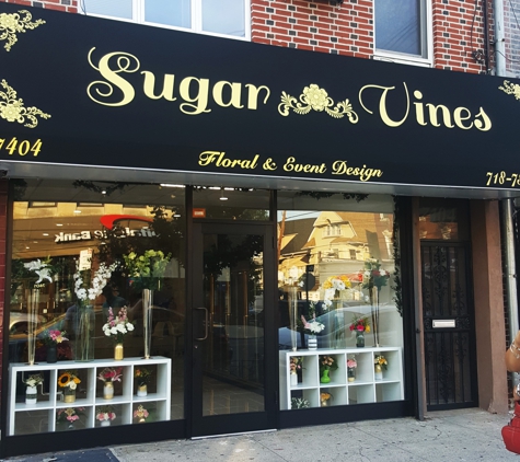 Sugar Vines - Brooklyn, NY