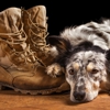 Circle of Change-Veteran's Dog Program gallery