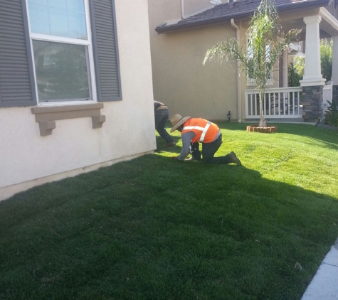 J C'S Tree Service - Riverside, CA