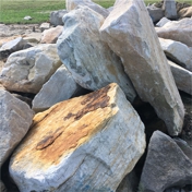 Gallery Image Number 2