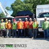 Campos Green View Tree Service & Landscaping - CLOSED gallery