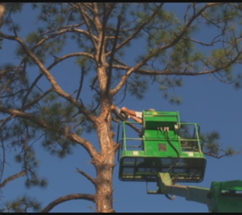 Robert Klingsporn Selective Land Clearing - Stuart, FL