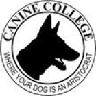 Canine College