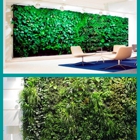 Green Living Wall Inc.
